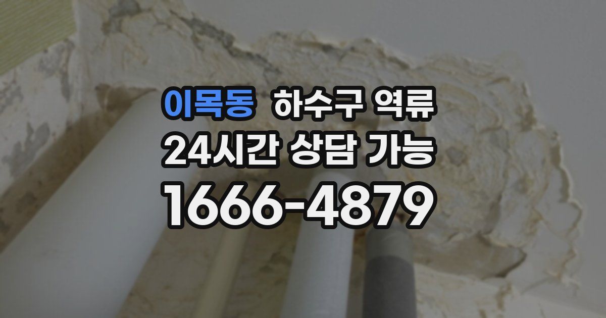 이목동 하수구 역류