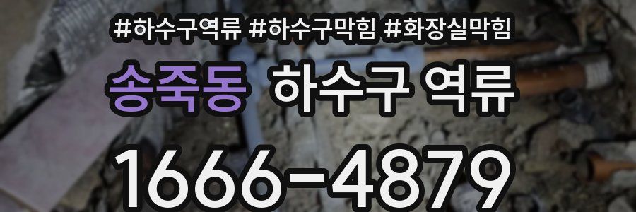 송죽동 하수구 역류