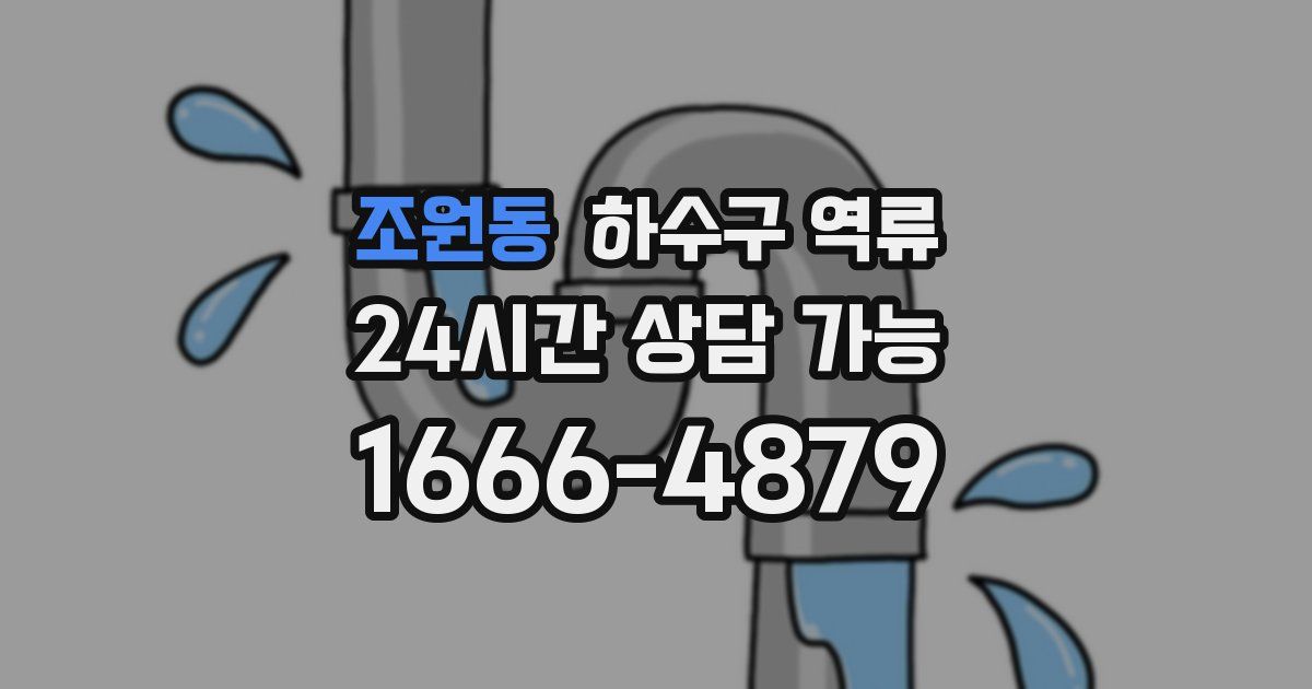 조원동 하수구 역류