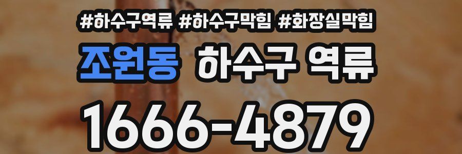 조원동 하수구 역류