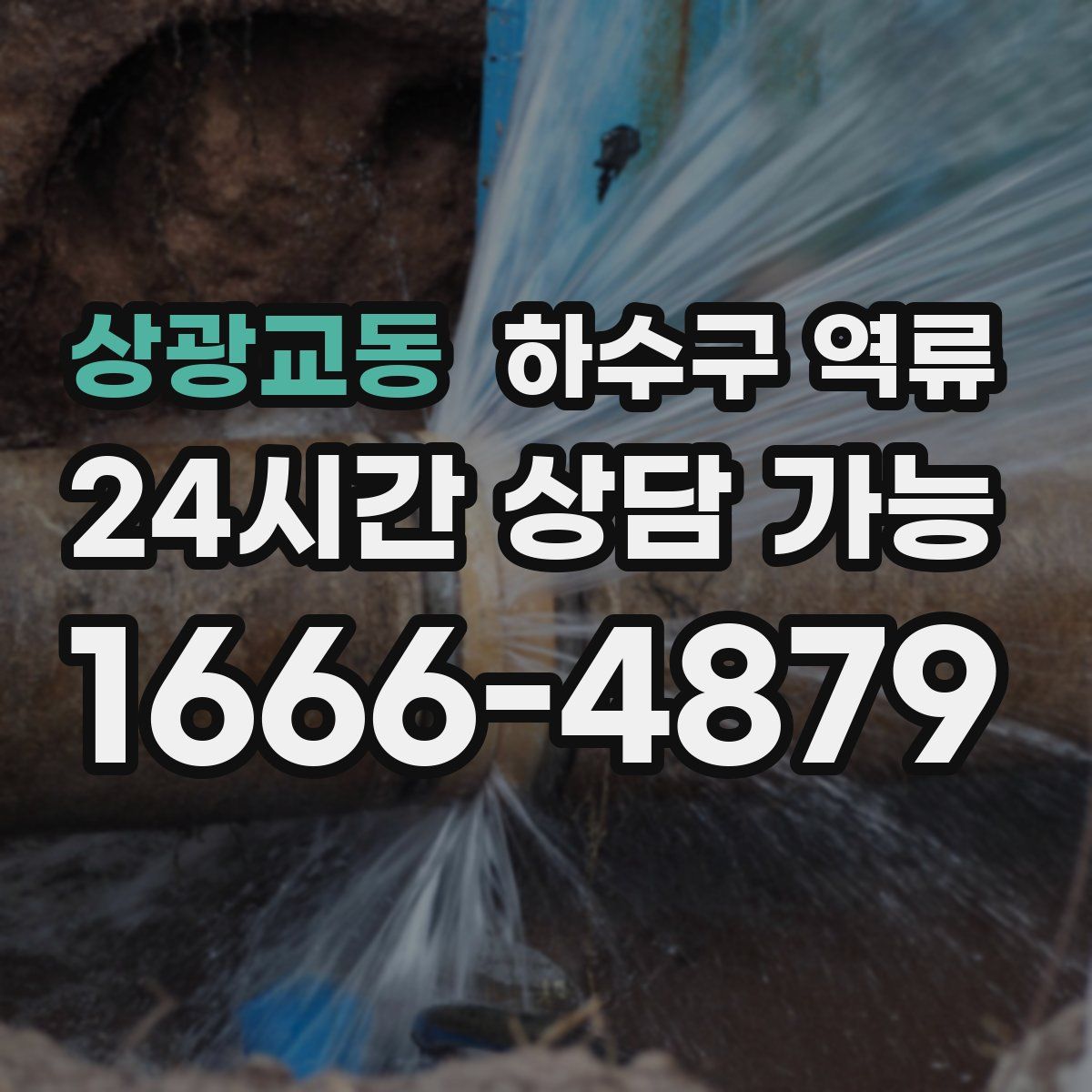 상광교동 하수구 역류