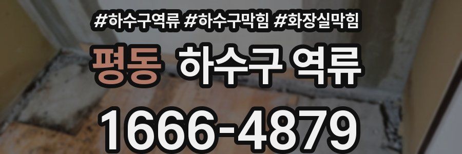 평동 하수구 역류