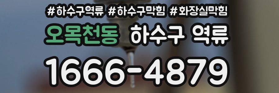 오목천동 하수구 역류