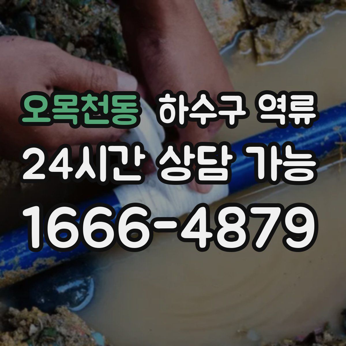 오목천동 하수구 역류