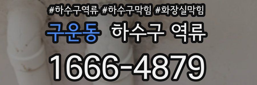 구운동 하수구 역류