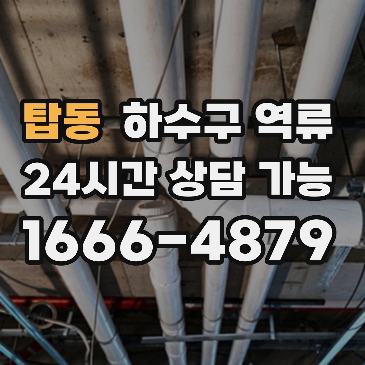 탑동 하수구 역류