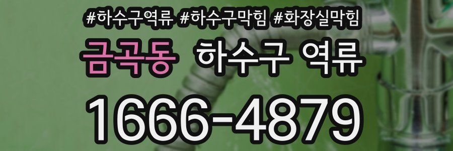 금곡동 하수구 역류