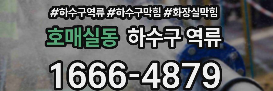 호매실동 하수구 역류