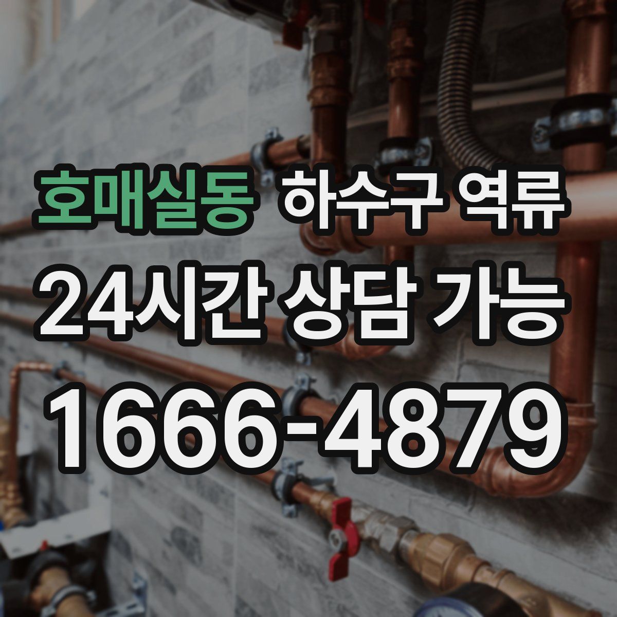 호매실동 하수구 역류