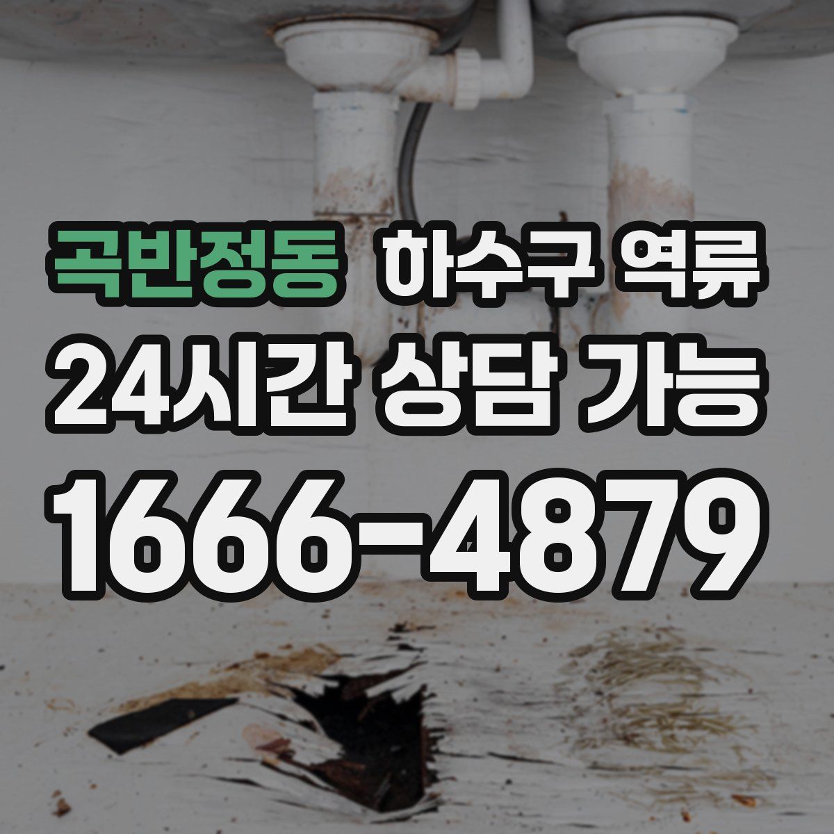 곡반정동 하수구 역류
