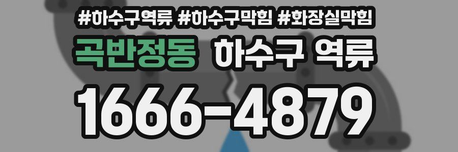 곡반정동 하수구 역류