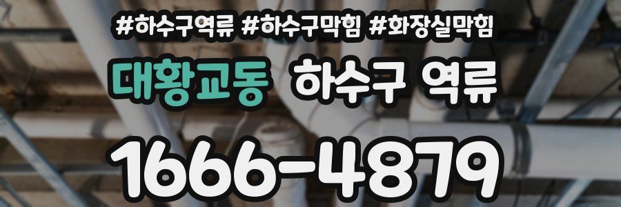 대황교동 하수구 역류