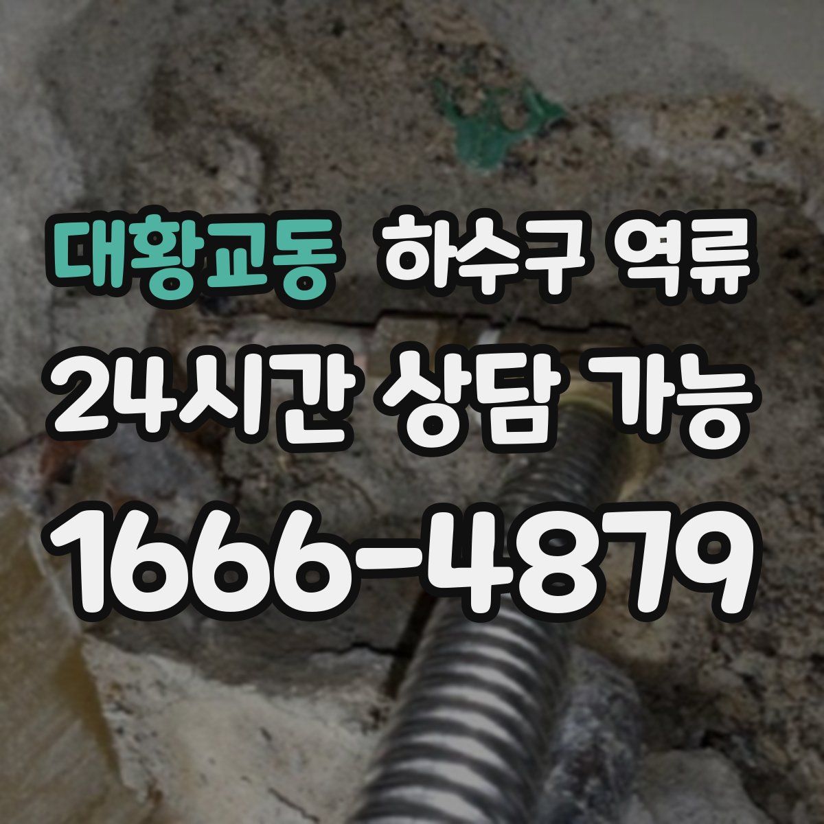 대황교동 하수구 역류