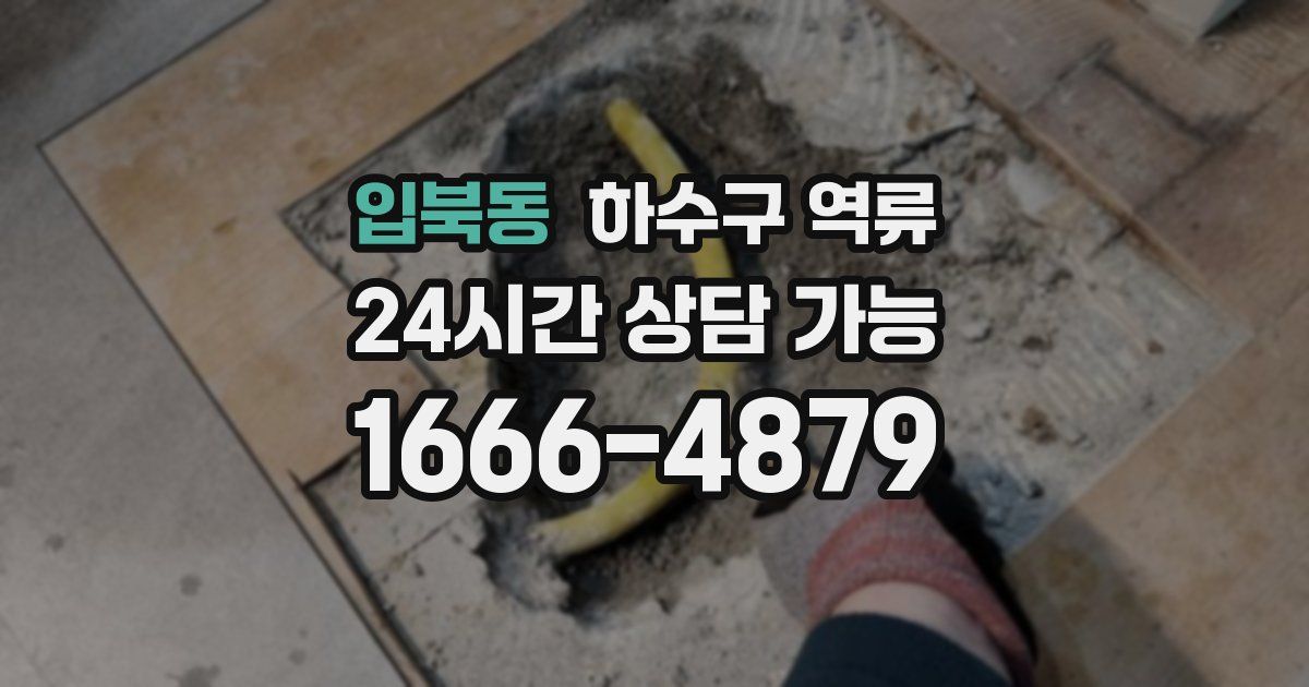 입북동 하수구 역류