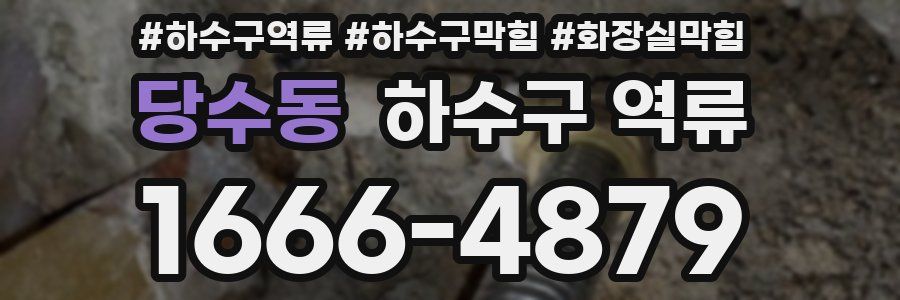 당수동 하수구 역류