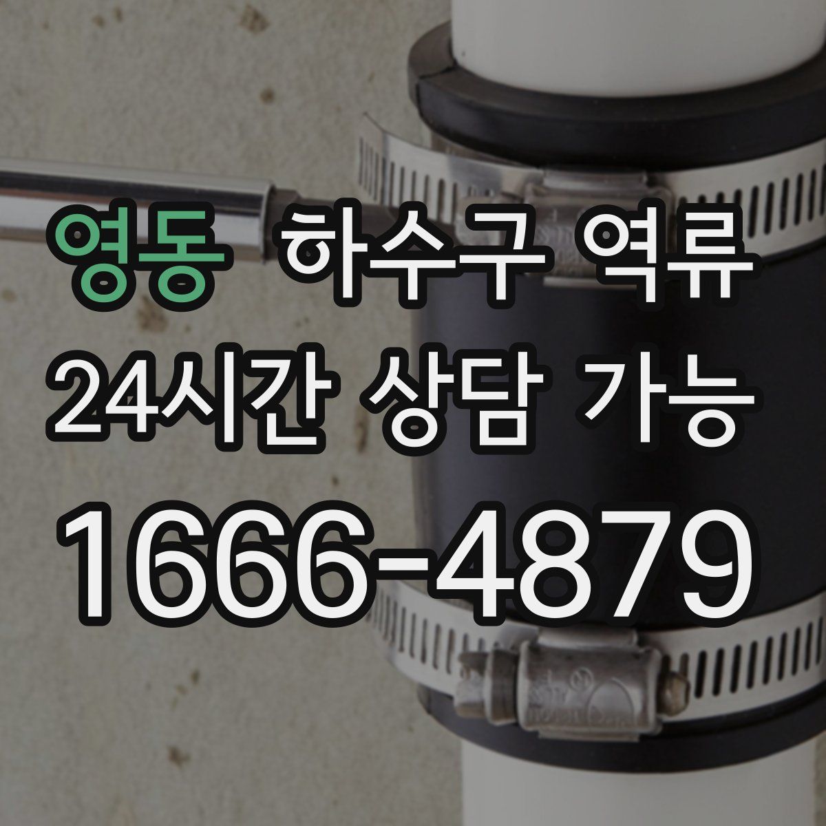 영동 하수구 역류