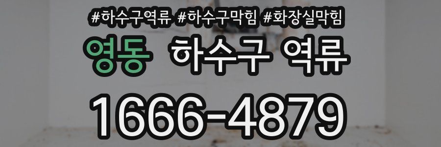 영동 하수구 역류