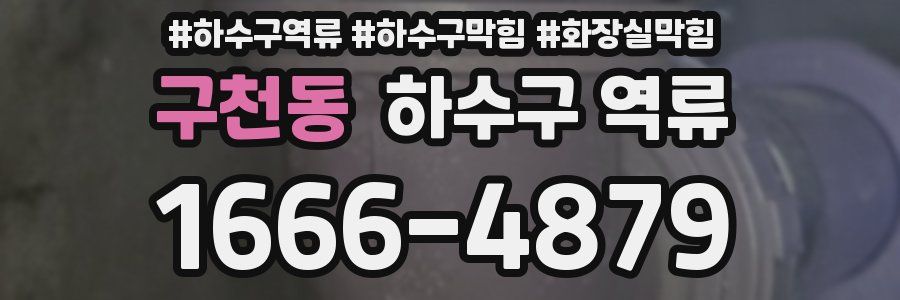 구천동 하수구 역류