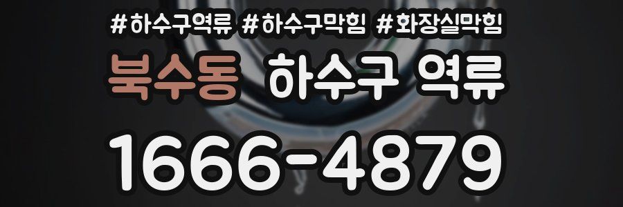 북수동 하수구 역류