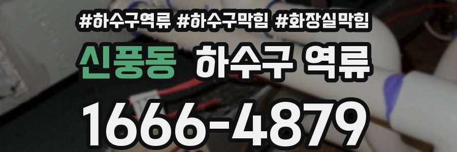 신풍동 하수구 역류