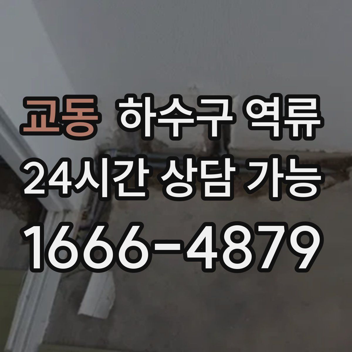 교동 하수구 역류