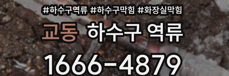 교동 하수구 역류