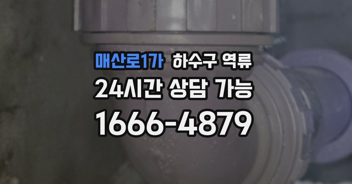 매산로1가 하수구 역류