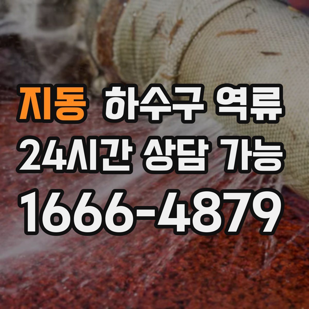 지동 하수구 역류