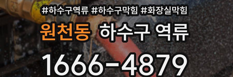 원천동 하수구 역류
