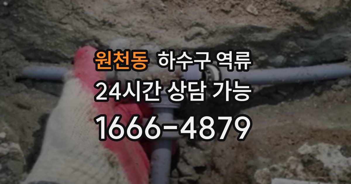 원천동 하수구 역류