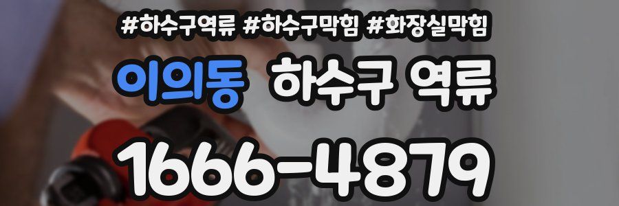 이의동 하수구 역류