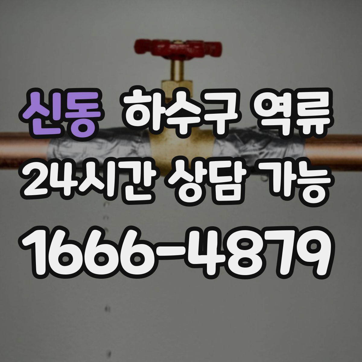 신동 하수구 역류