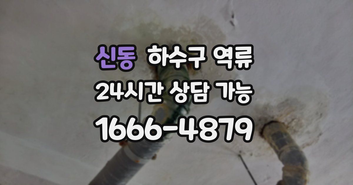 신동 하수구 역류