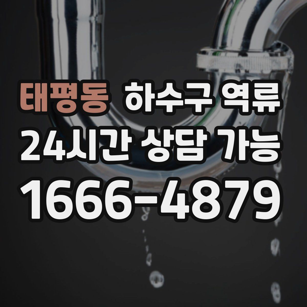 태평동 하수구 역류