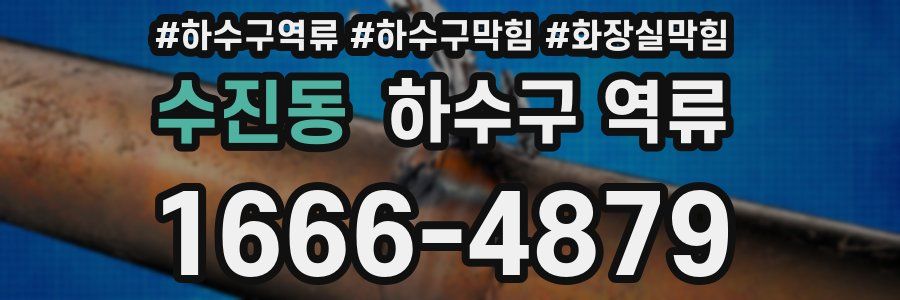 수진동 하수구 역류