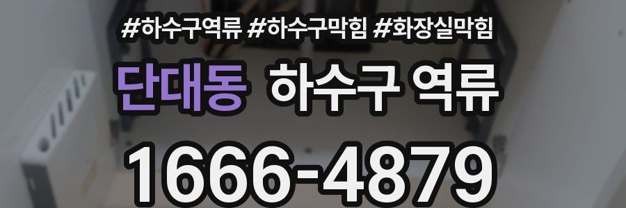 단대동 하수구 역류