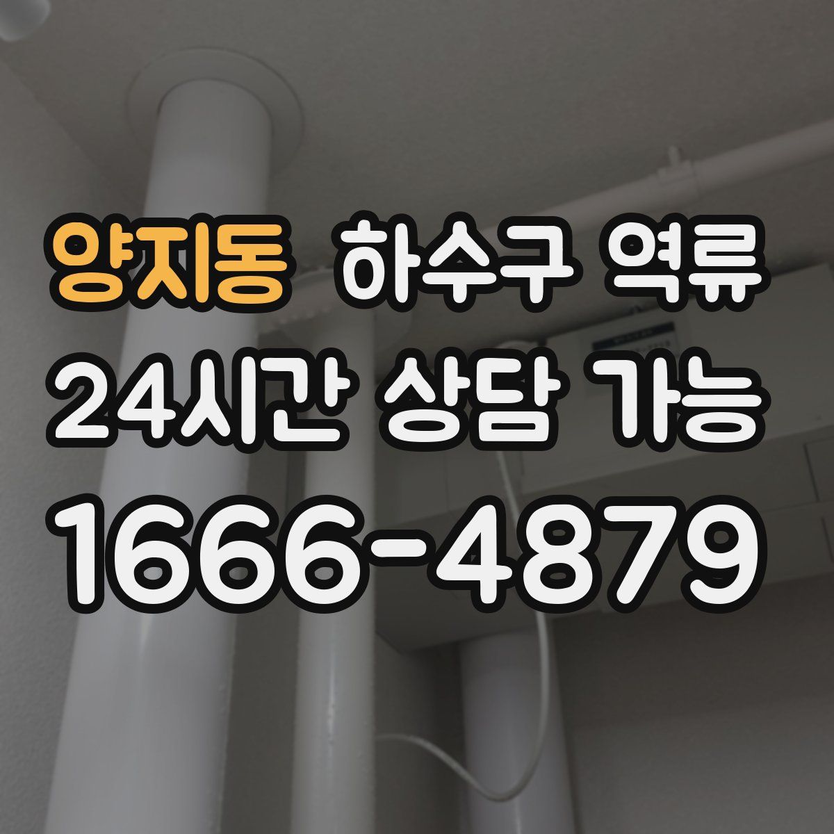 양지동 하수구 역류