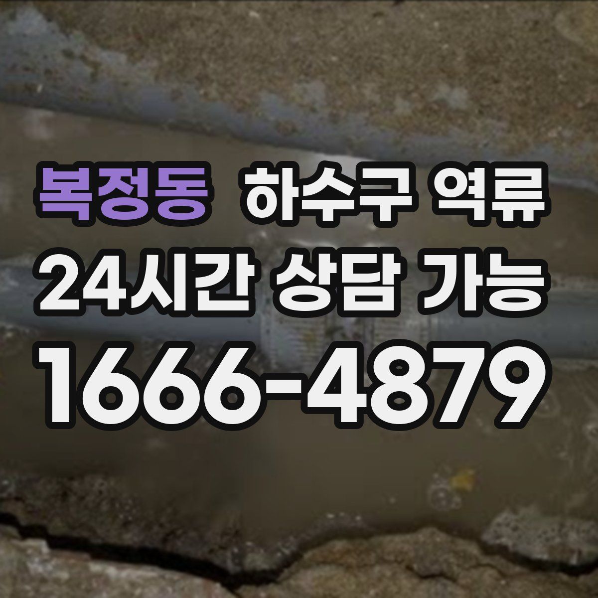 복정동 하수구 역류