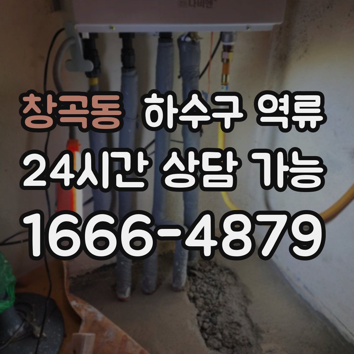 창곡동 하수구 역류