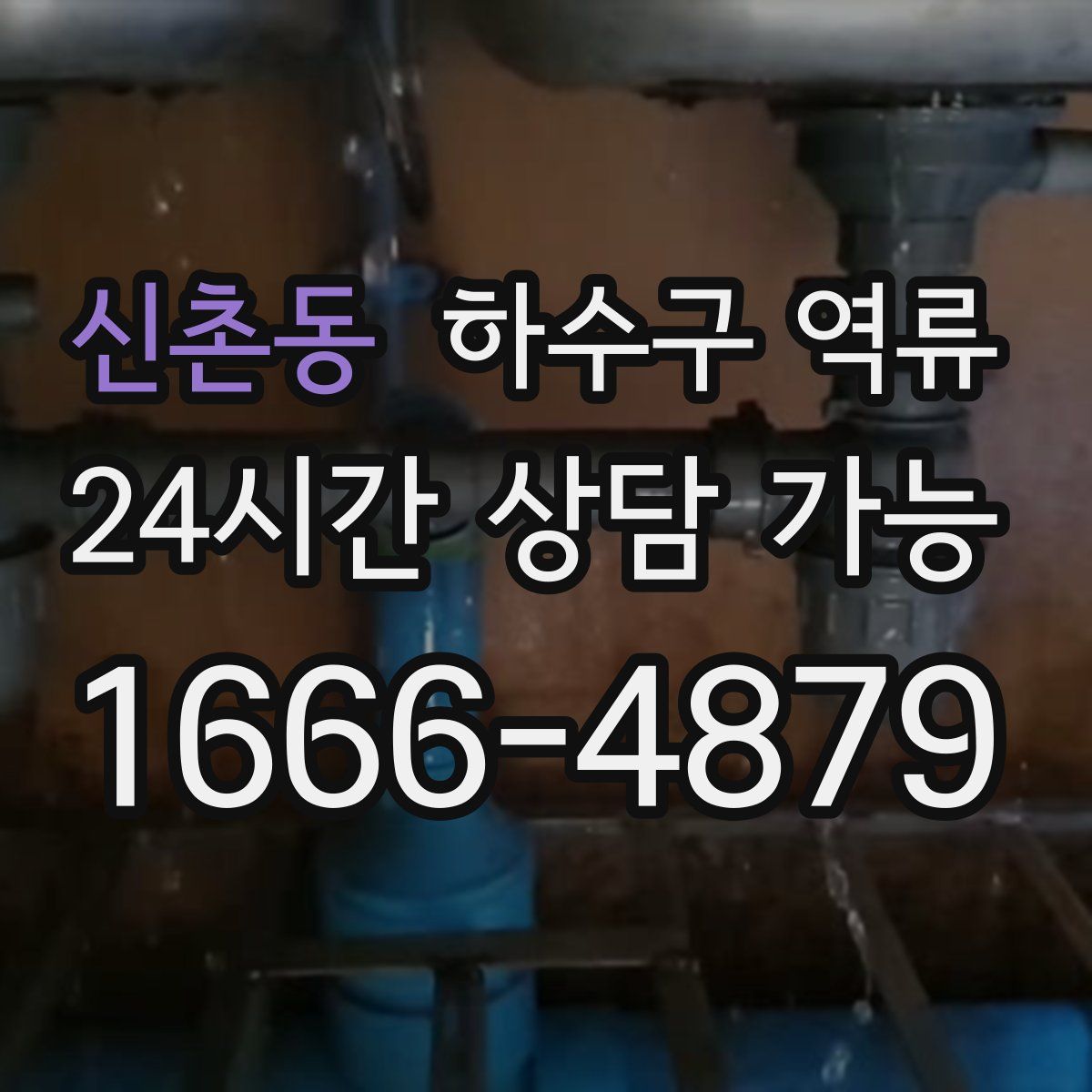 신촌동 하수구 역류