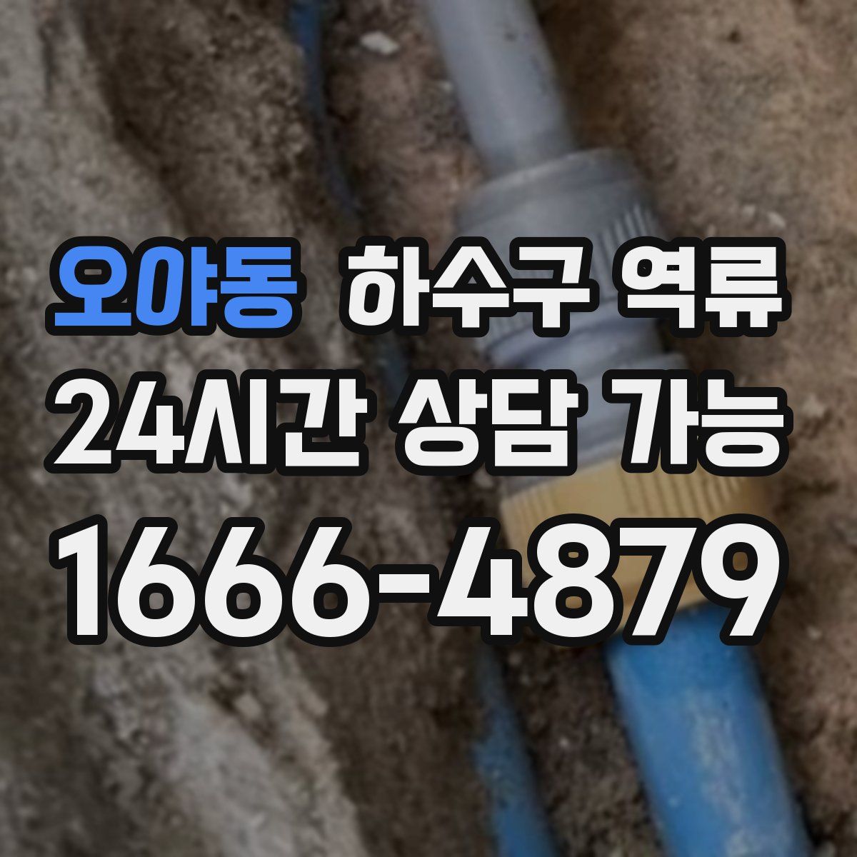 오야동 하수구 역류