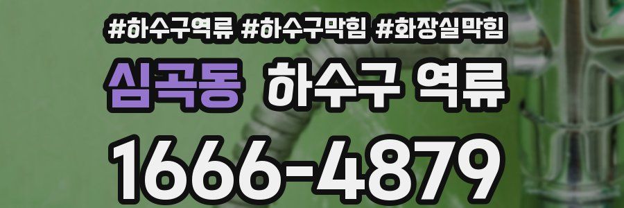 심곡동 하수구 역류