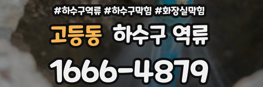 고등동 하수구 역류