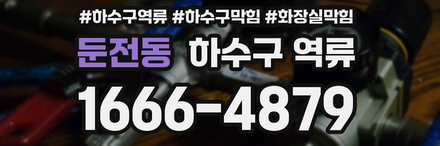 둔전동 하수구 역류