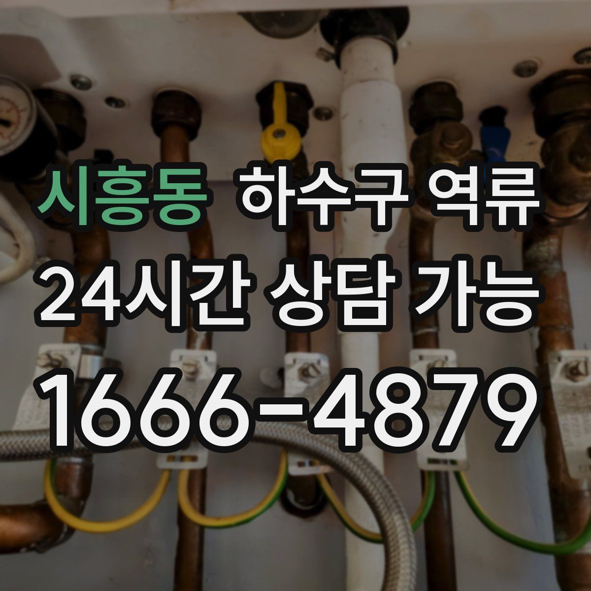 시흥동 하수구 역류