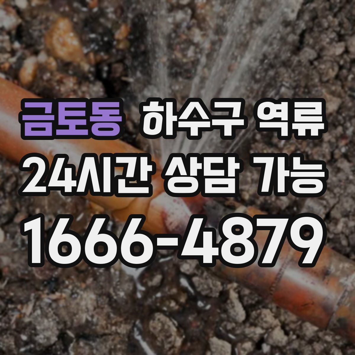 금토동 하수구 역류