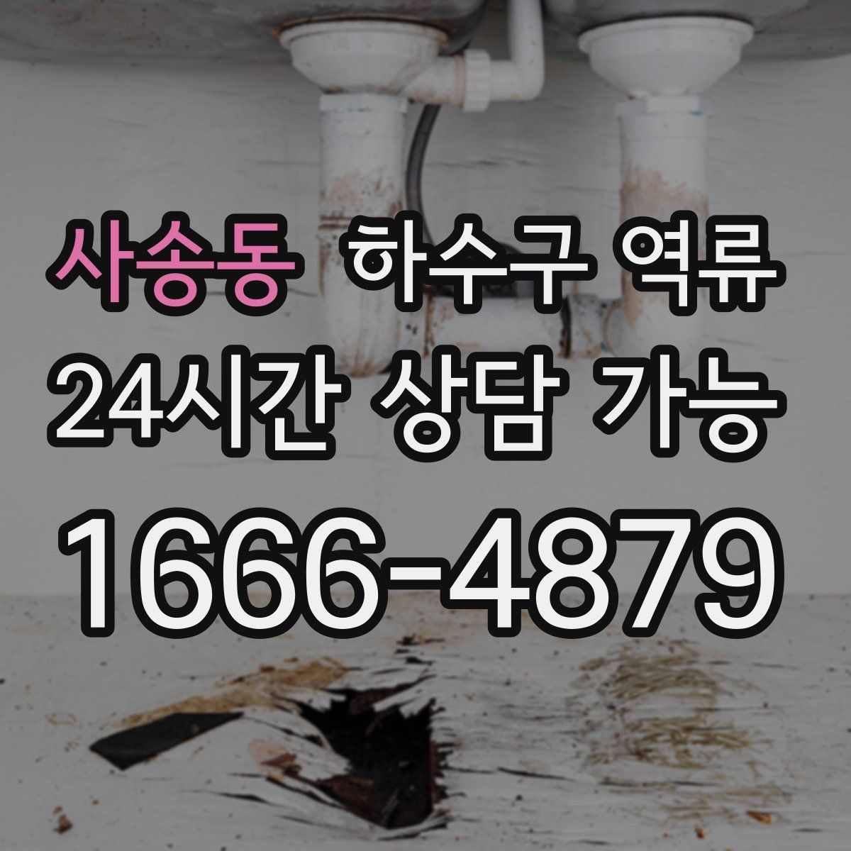 사송동 하수구 역류