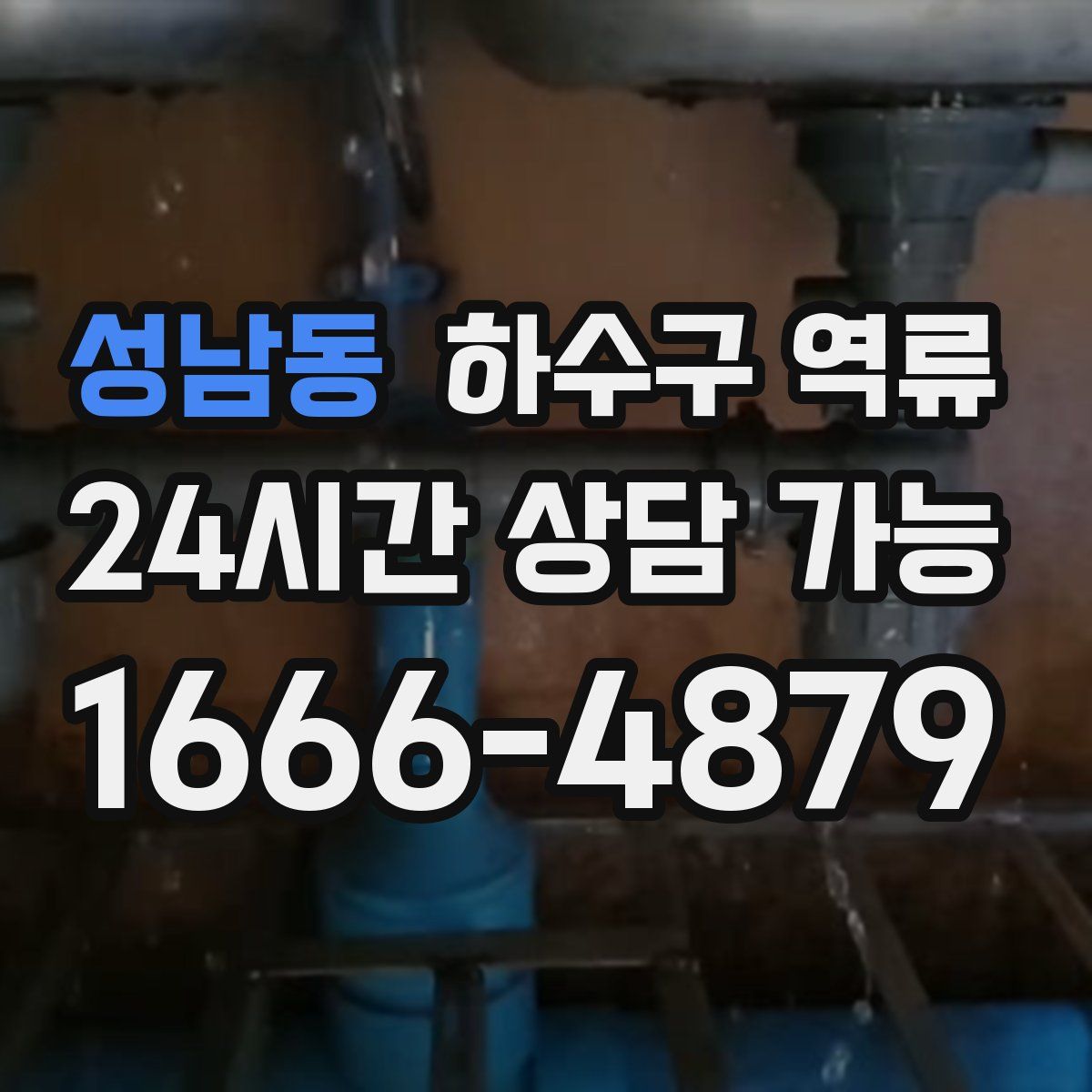 성남동 하수구 역류