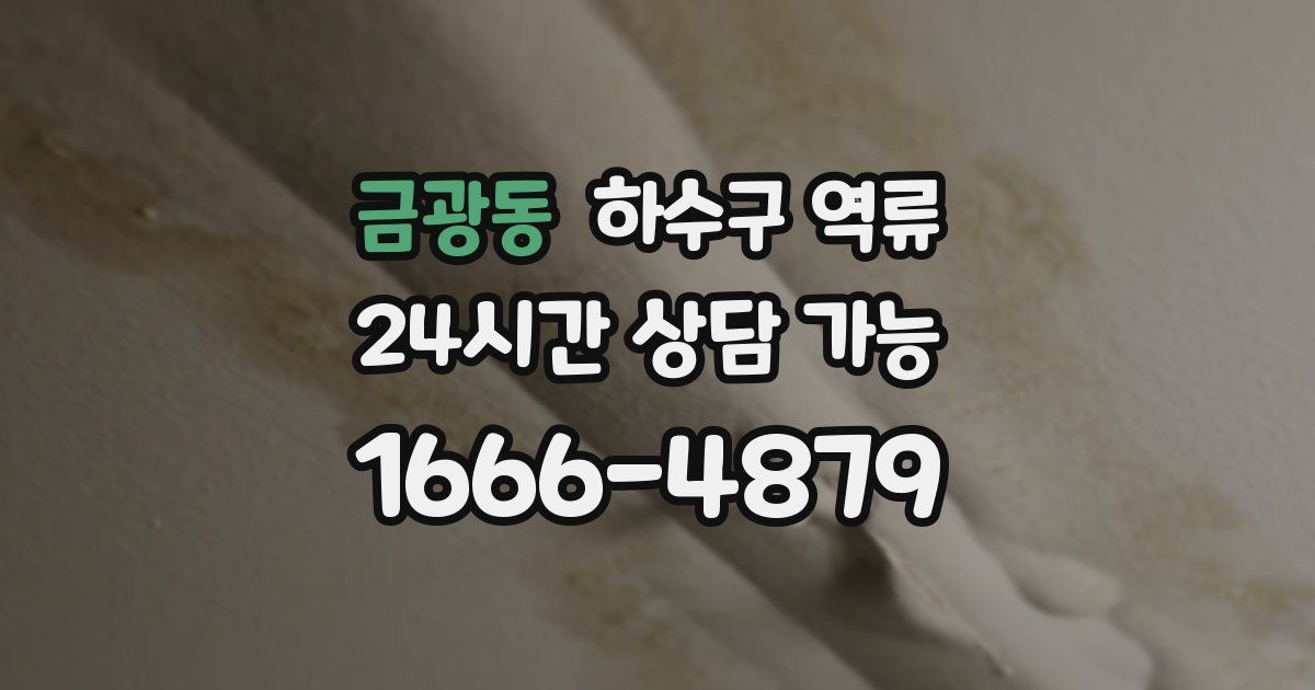 금광동 하수구 역류