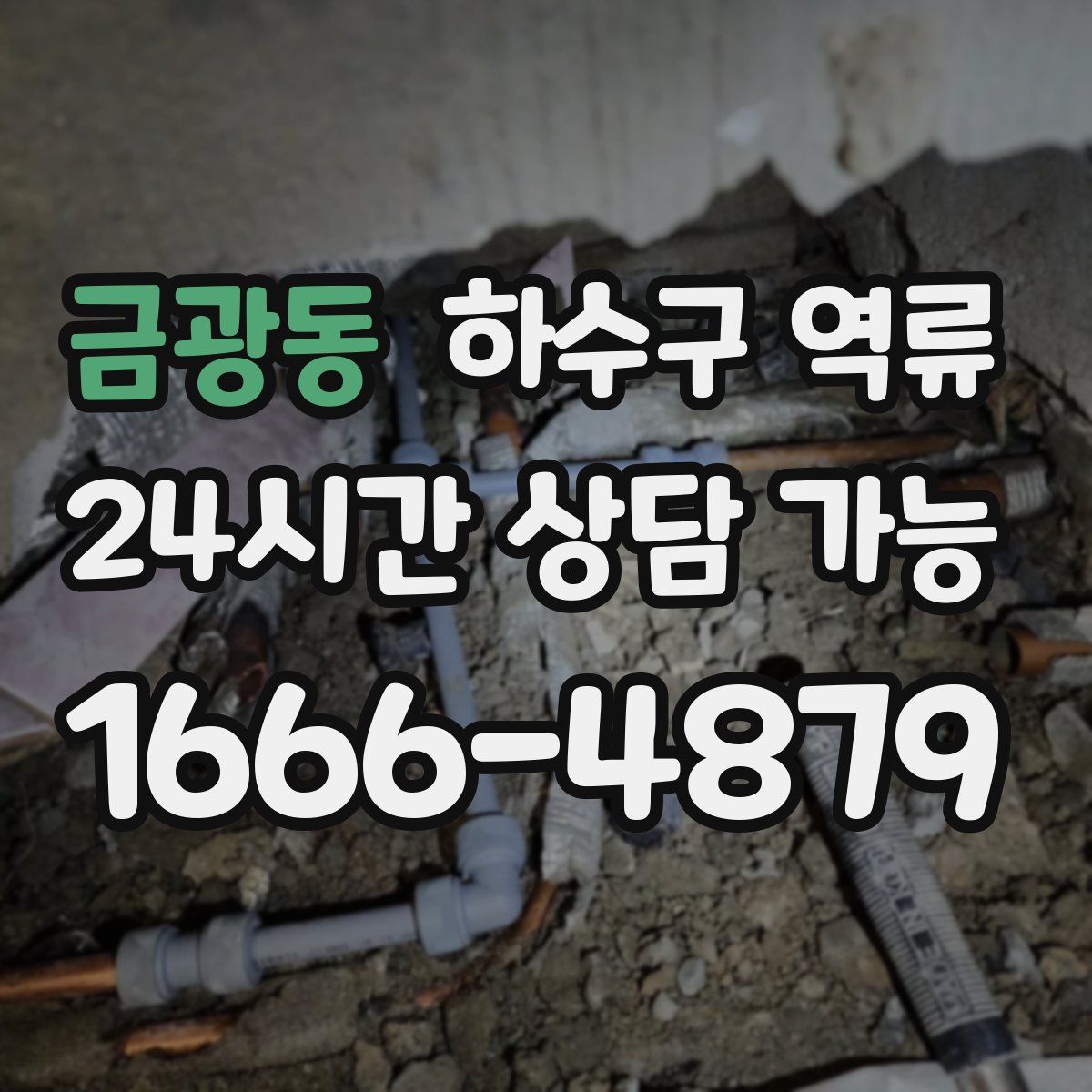 금광동 하수구 역류